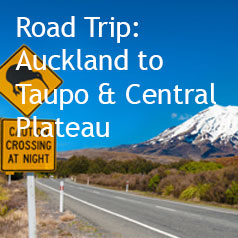 auckland-to-taupo-and-central-plateau---road-trip